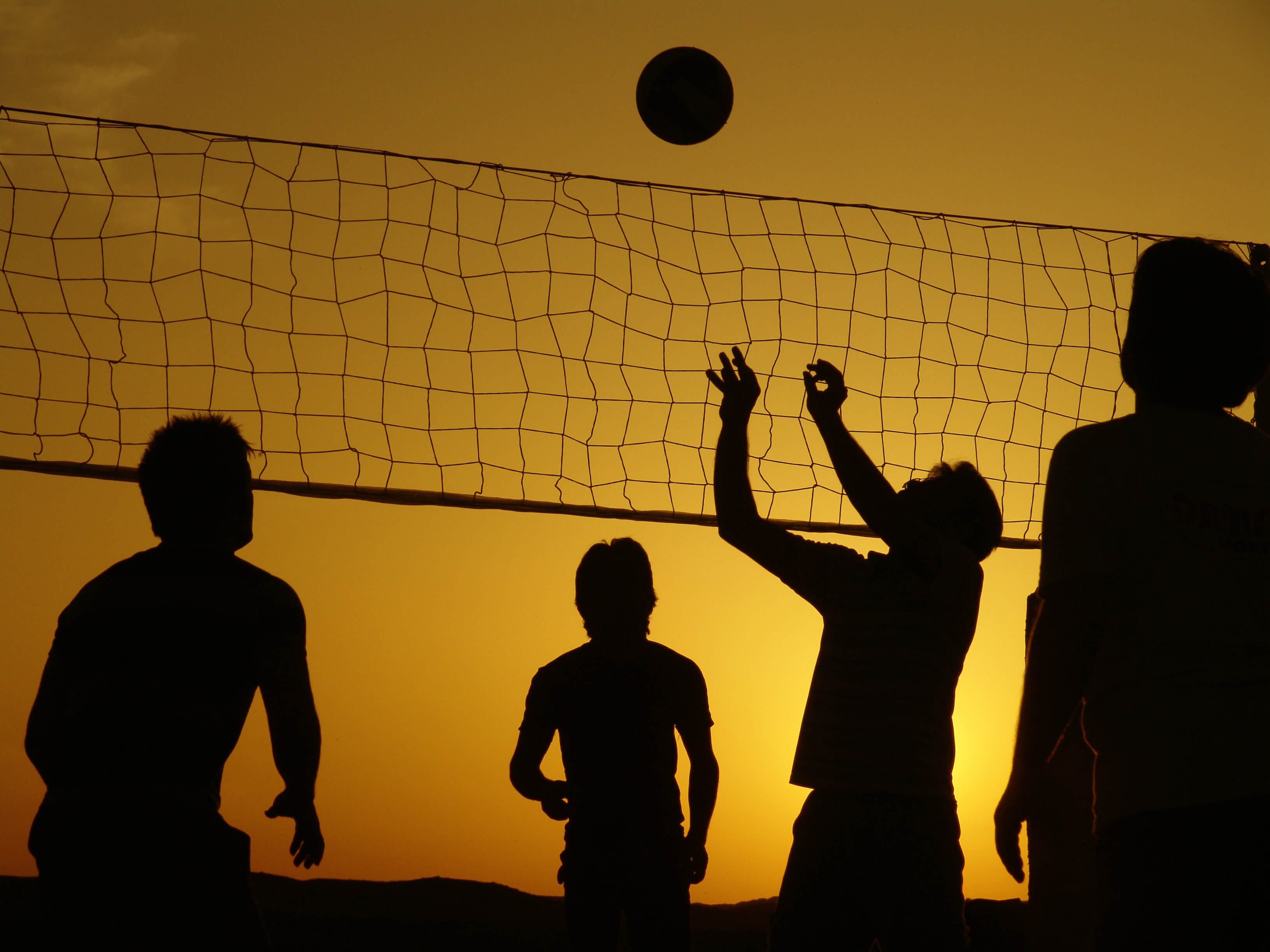 Silhouette_Volleyball